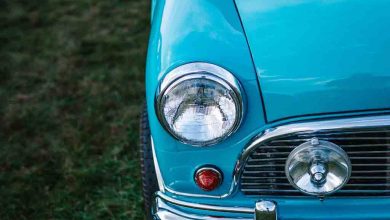 Photo of یک پرستو بهار رو ایجاد نمی کند