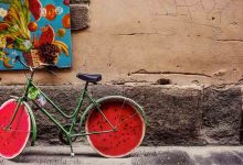 Photo of طرفداران تیم های Hibs و Ross County در فینال